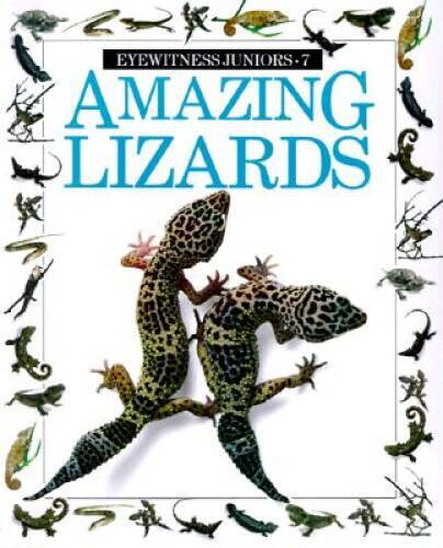 Amazing Lizards (Eyewitness Junior) - Paperback By Smith, Trevor - GOOD
