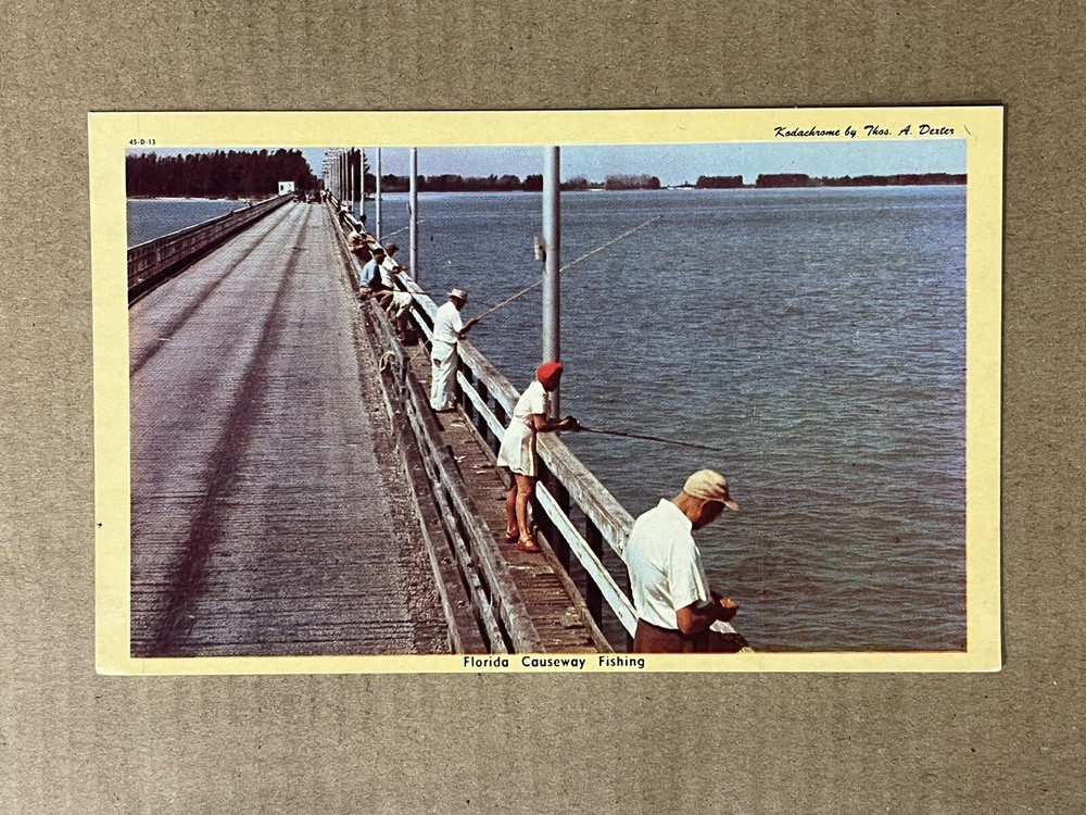 Postcard Sarasota Florida Bridge Fishing Causeway Anglers Vintage PC