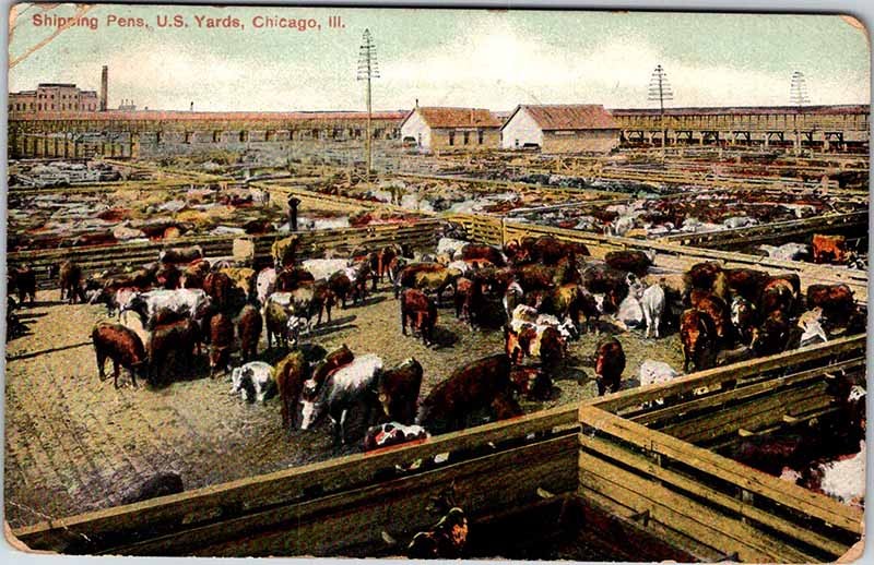 Postcard BUSINESS ACTIVITY SCENE Chicago Illinois IL m/09 AM6683