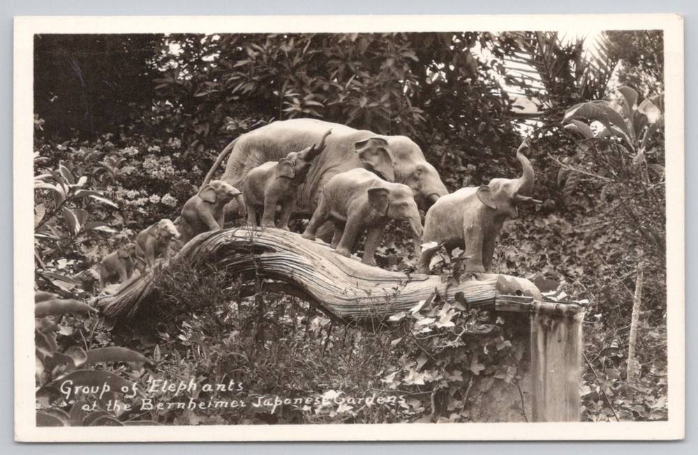 RPPC Bernheimer Japanese Gardens Elephants Los Angeles CA Vintage Postcard