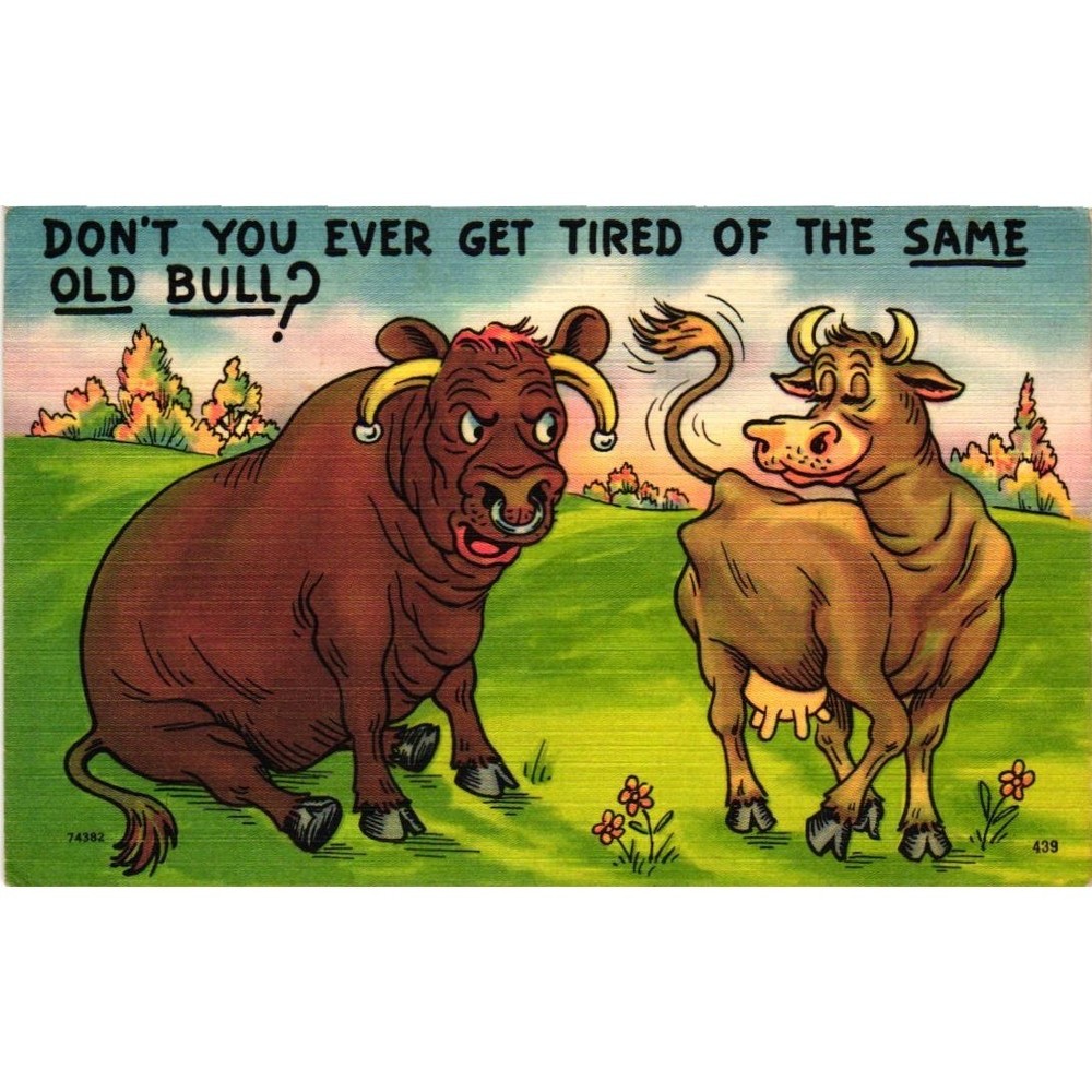 Vintage Tichnor Linen Postcard Same Old Bull Comic Humor Cow Farm Animal 74382