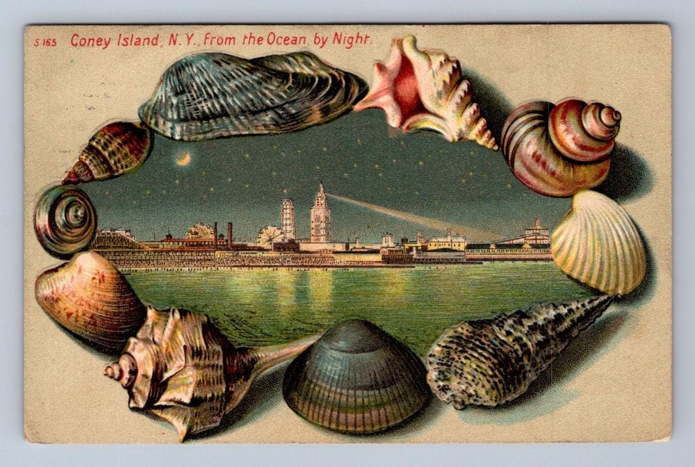From The Ocean Coney Island New York S165 Langsdorf Shell Border Postcard 1908