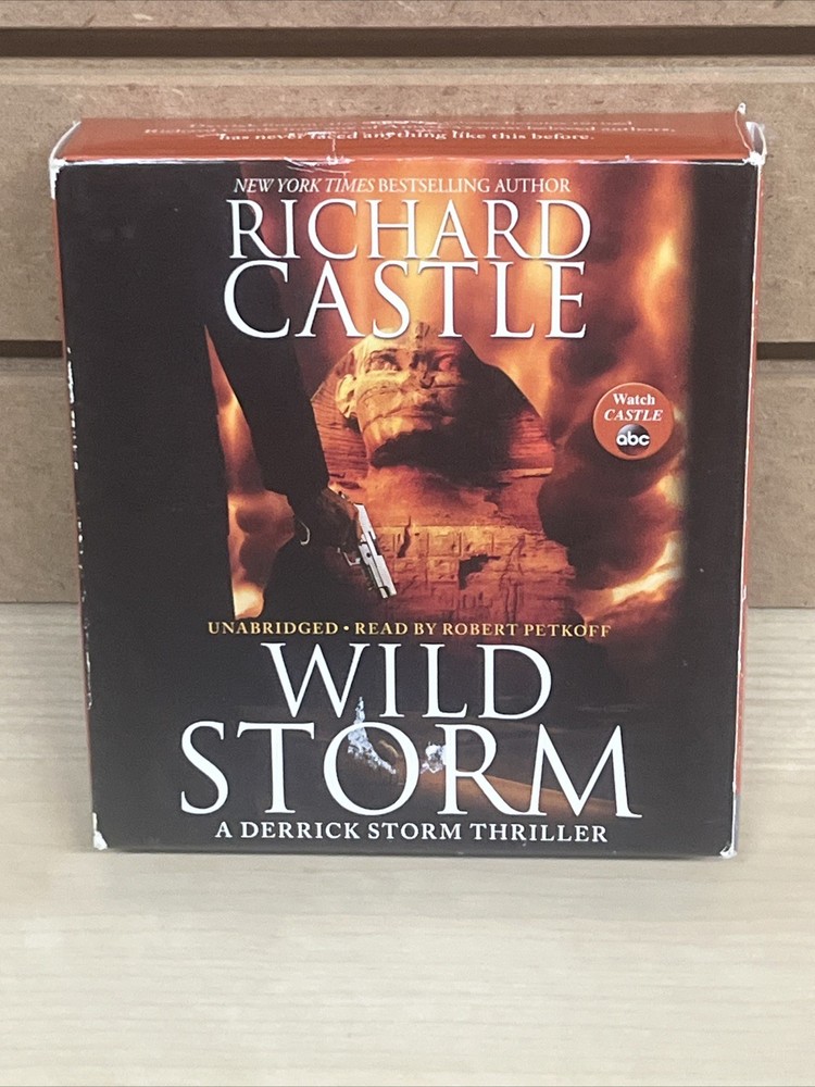 Richard Castle Wild Storm Derrick Storm Thriller Read Robert Petkoff Audio CD