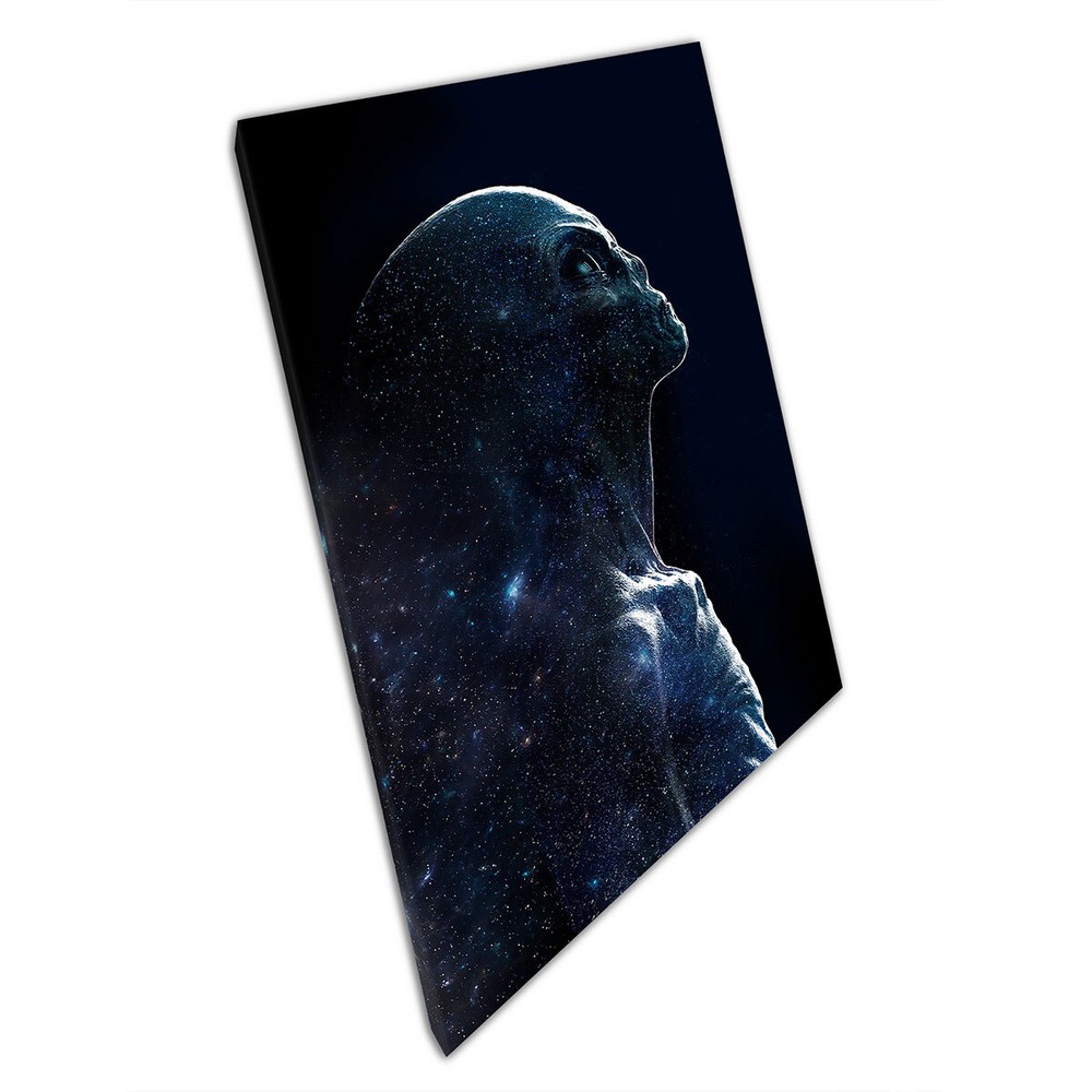 Abstract Grey Alien Silhouette Galaxy Sci-Fi Fantasy Art Print Canvas  -image
