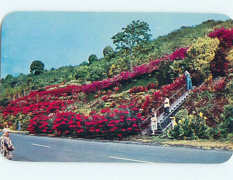 Unused Pre-1980 MACHADO GARDENS Kealakekua - Kona Hawaii HI : clearance r9051