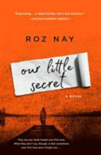 Our Little Secret, Paperback by Nay, Roz, Brand New, Free shipping in the US