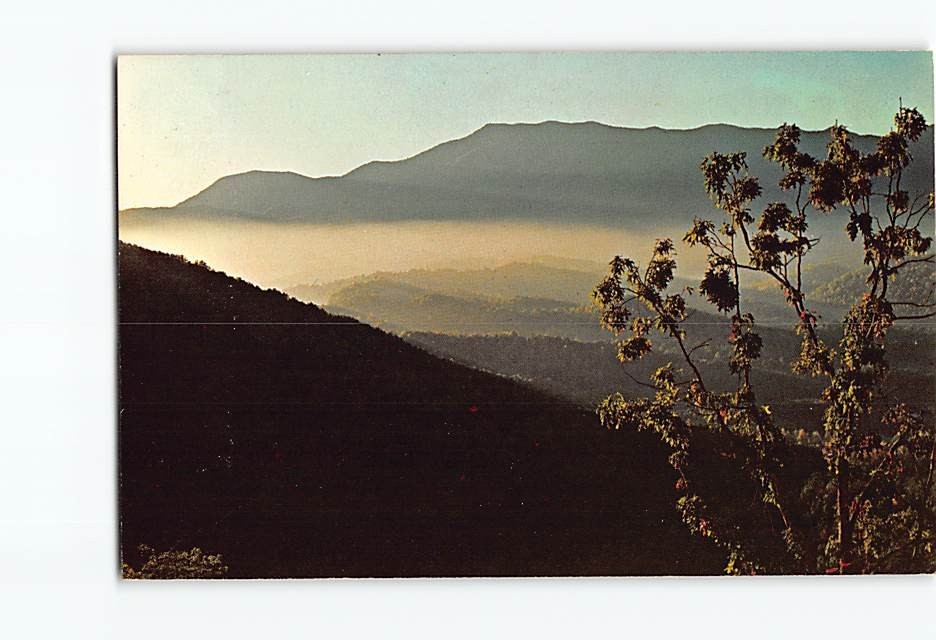 Postcard Mt. Cammerer At Sunrise Great Smoky Mountains National Park NC USA