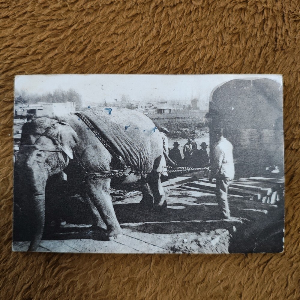 Rare Prewar 1933 Picture Postcard International Exhibition