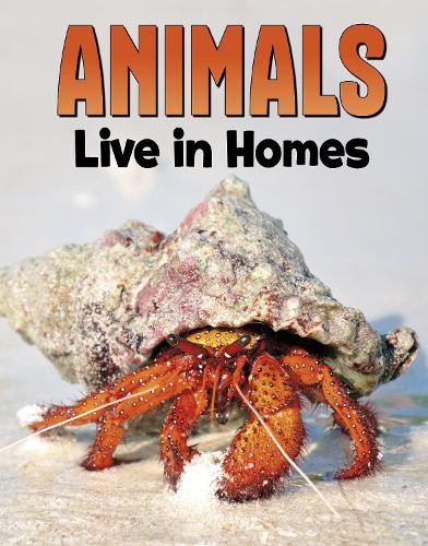 Nadia Ali Animals Live in Homes (Hardback) Animal Societies (UK IMPORT)All Tariffs and Duties included - no additional charges
