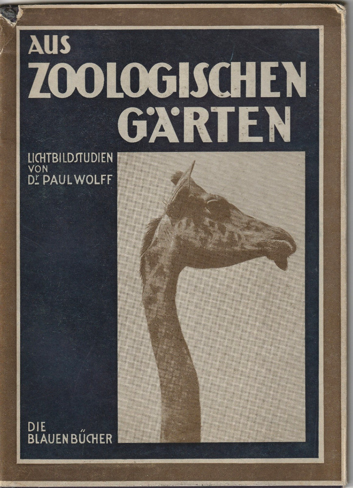 1931 Aus Zoologischen Garten Photographic Zoological Studies Paul Wolff German
