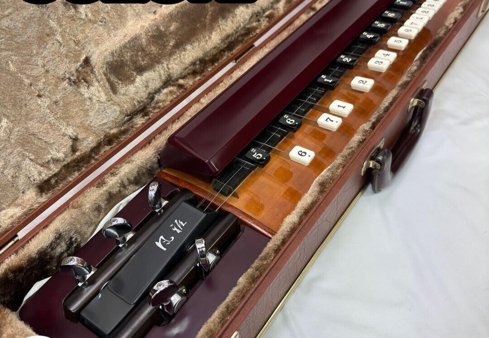 Suzuki Fuuga Electric Taishogoto Harp Synthesizer with AC Adapter & Case-image