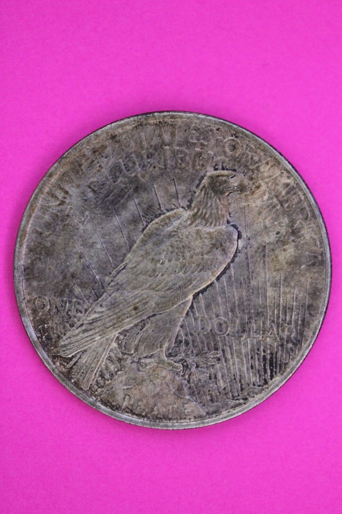 Toned High Grade 1922 P Liberty Peace Silver Dollar Philadelphia Mint Coin 240