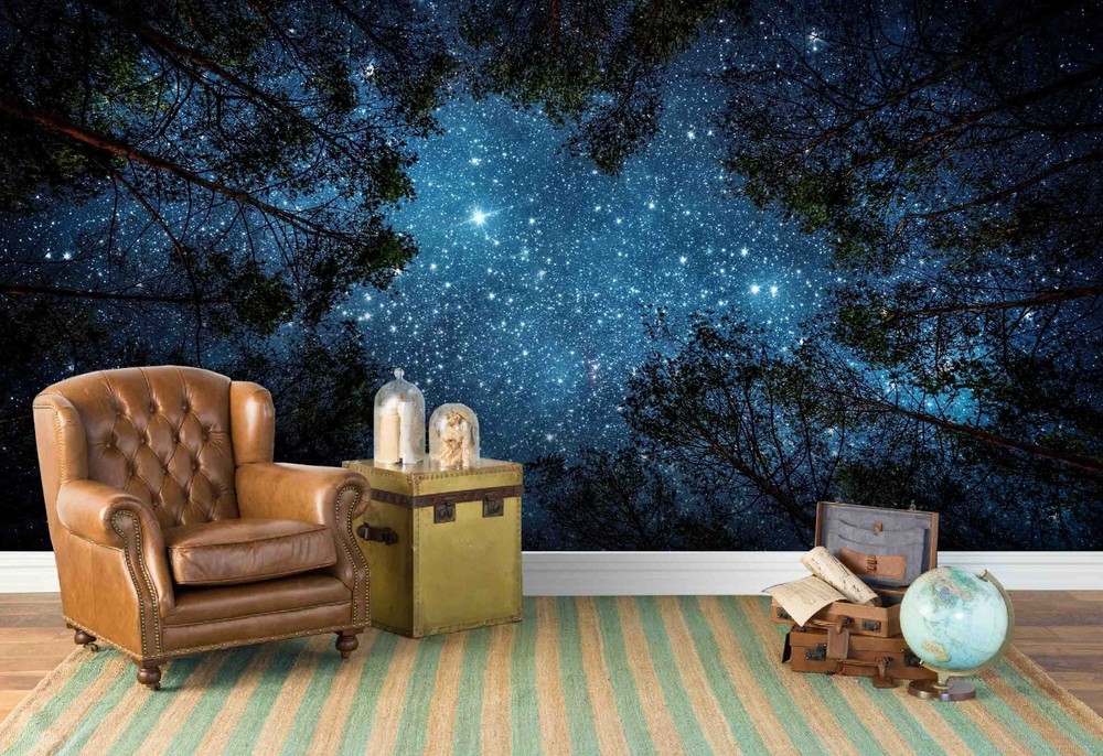3D Forest Starry Sky Night Scene Wall Murals Wallpaper Murals Wall Sticker