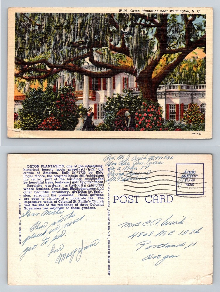 Wilmington, NC-North Carolina, Orton Plantation Gardens Moss Vintage Postcard