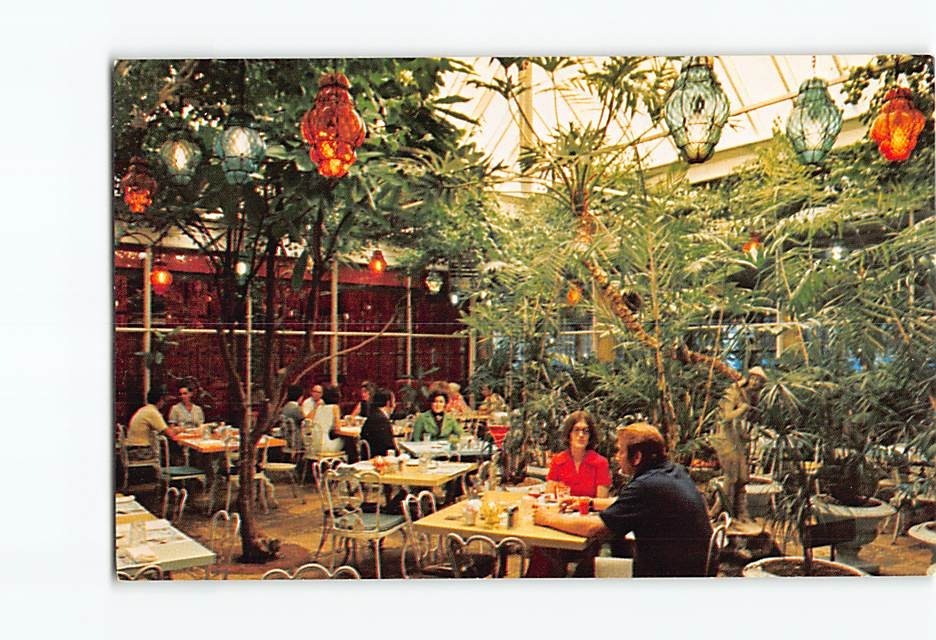 Postcard Patio Dining Kapok Tree Inn Clearwater Florida USA