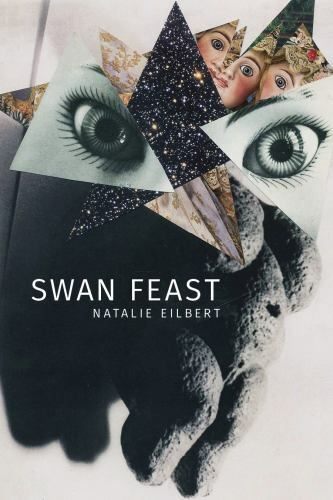 Swan Feast (Paperback or Softback)