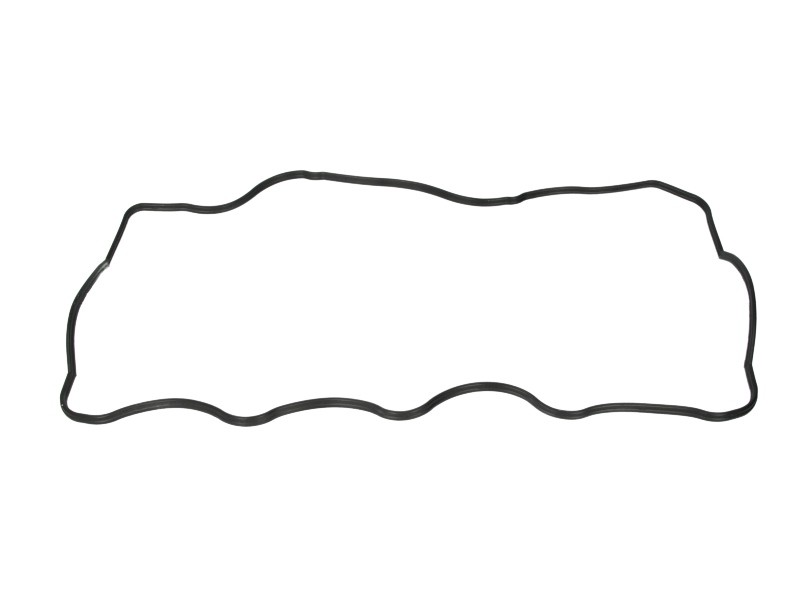 Valve Cover Gasket for LACES, LACES Station Wagon