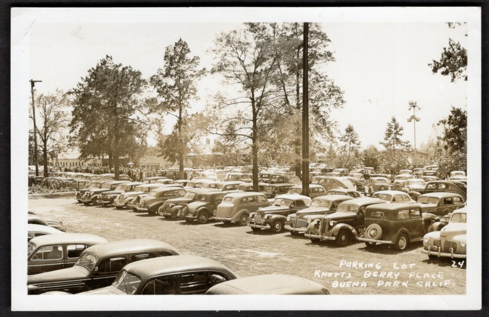 USA BUENA PARK California 1940s Knotts Berry Parking Cars. Real Photo Postcard