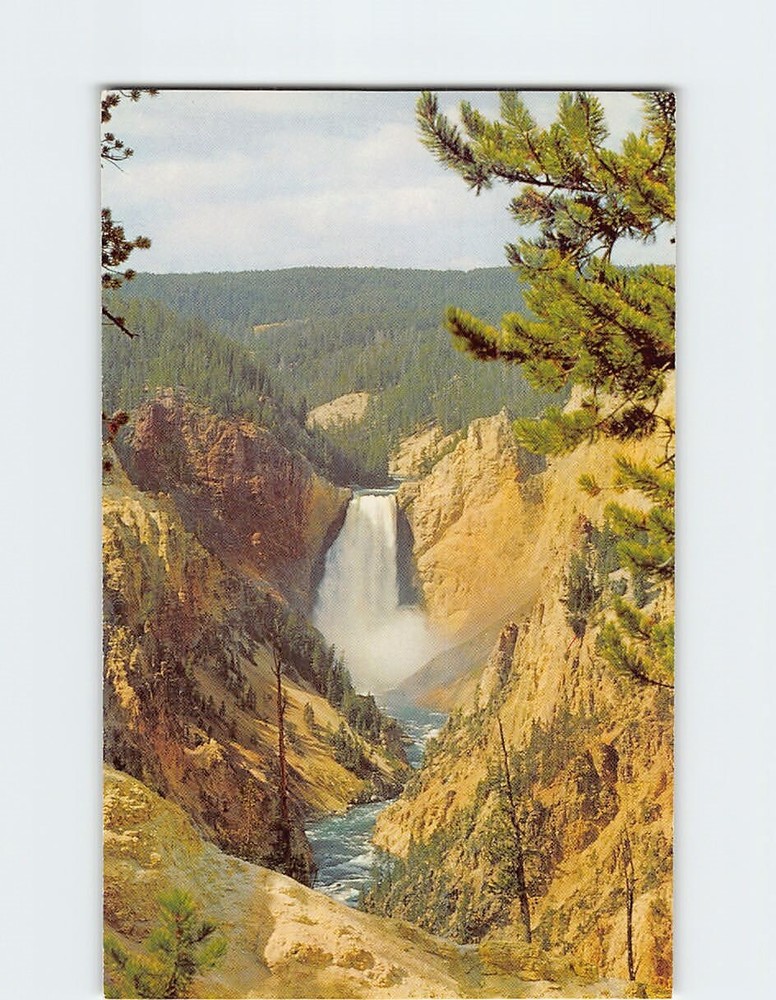 Postcard Lower Falls and Grand Canyon Yellowstone National Park Wyoming USA
