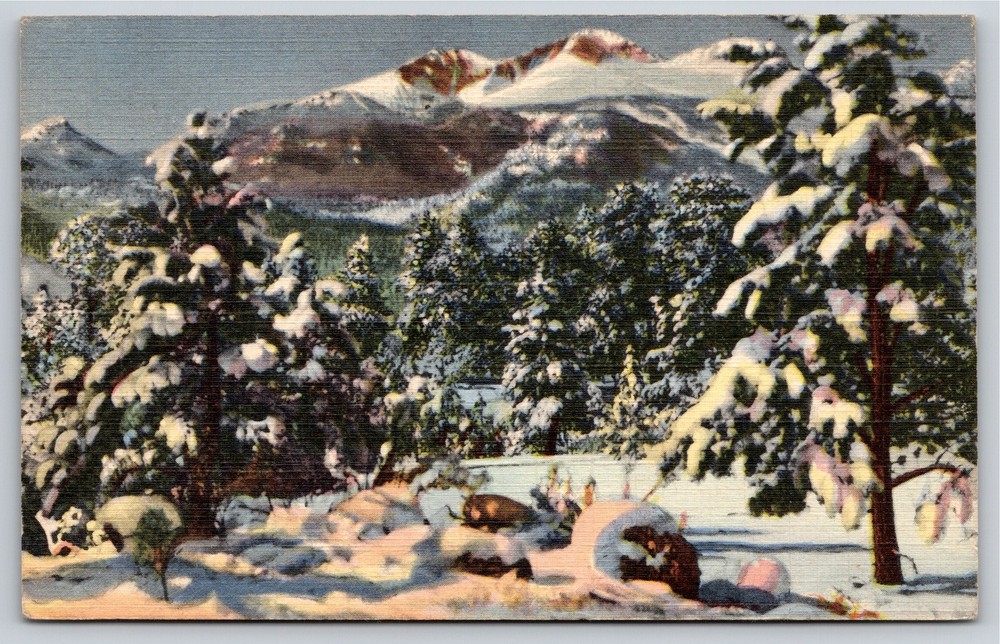 Rocky Mountain Park CO~Longs Peak & Mt Meeker In Winter~Vintage Linen Postcard