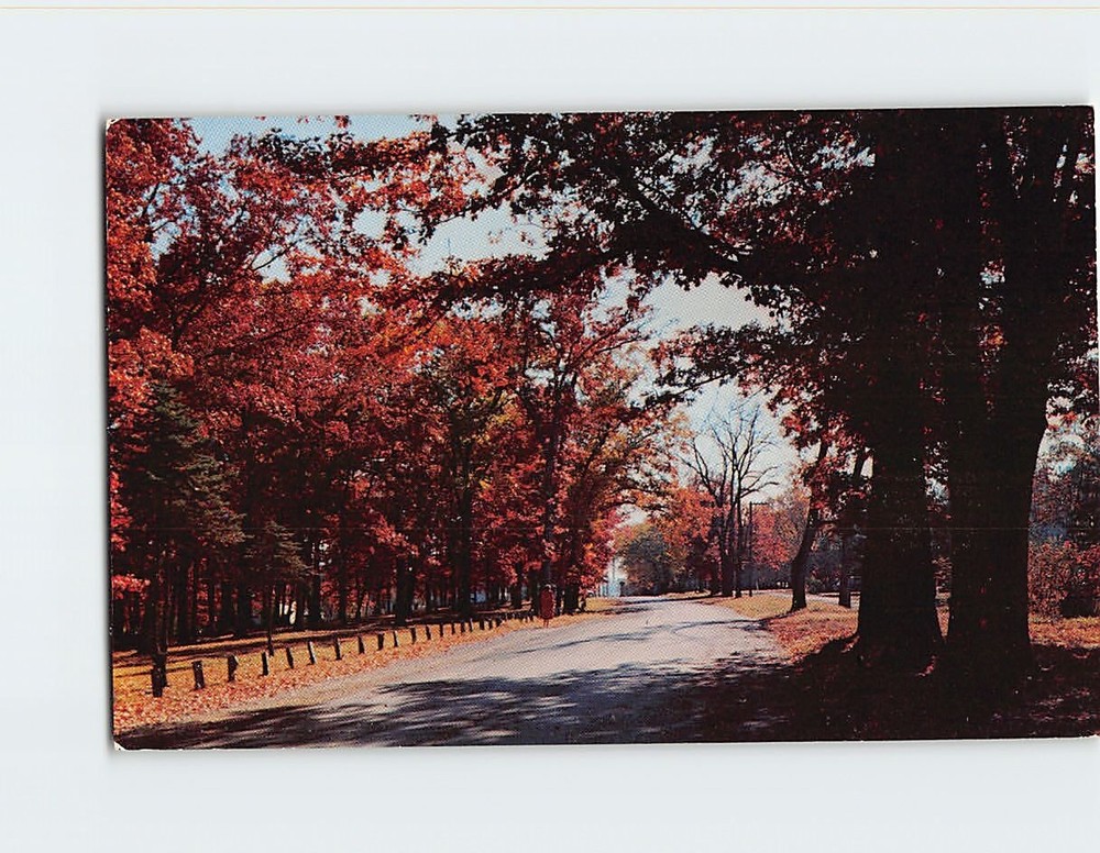 Postcard Beautiful City Park North of State University Campus Iowa City Iowa USA