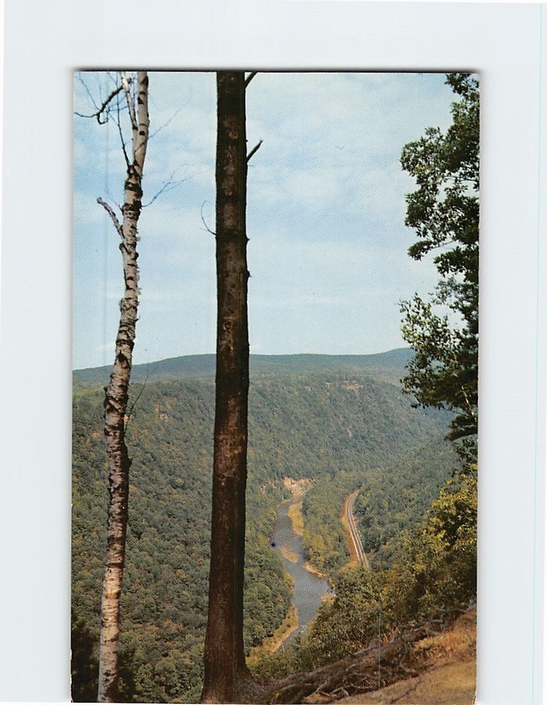 Postcard North View of Pennsylvania's Grand Canyon from Nature Trail USA