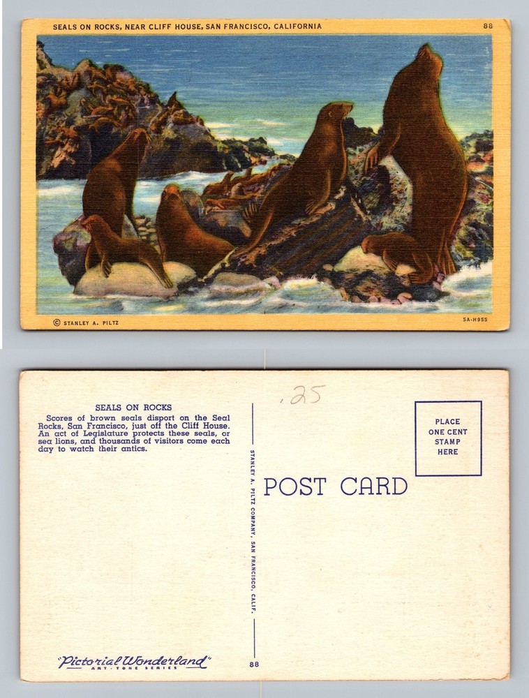 San Francisco, CA-California, Cliff House Seals Rocks Souvenir Vintage Postcard