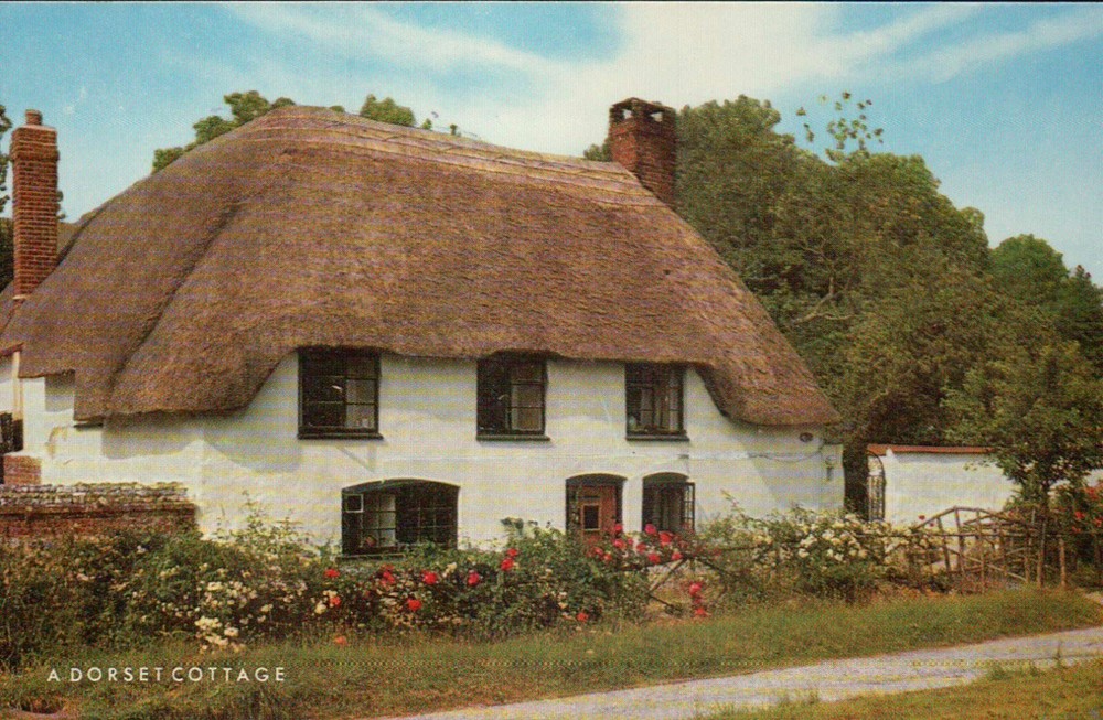 A Dorset Cottage, Thatched Roof, England United Kingdom --- Standard Postcard