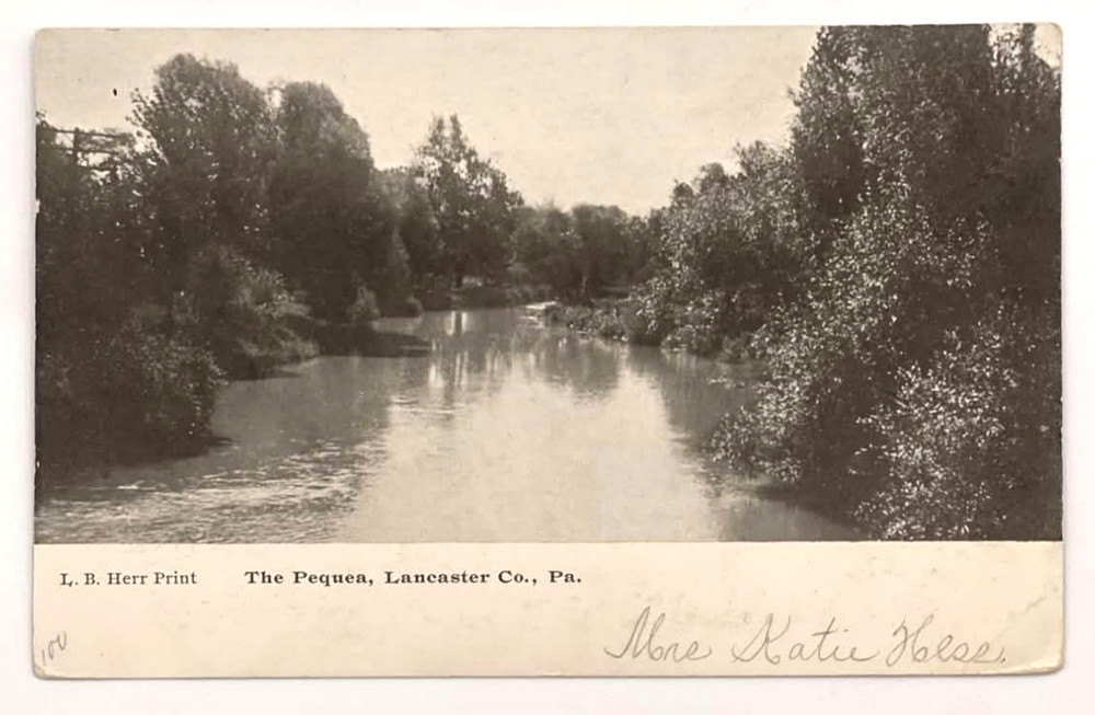 Pequea River ~ Lancaster County Pennsylvania PA ~ UDB postcard mailed 1906