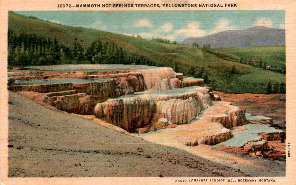 Mammoth Hot Springs Terraces, Yellowstone National Park, Haynes Postcard