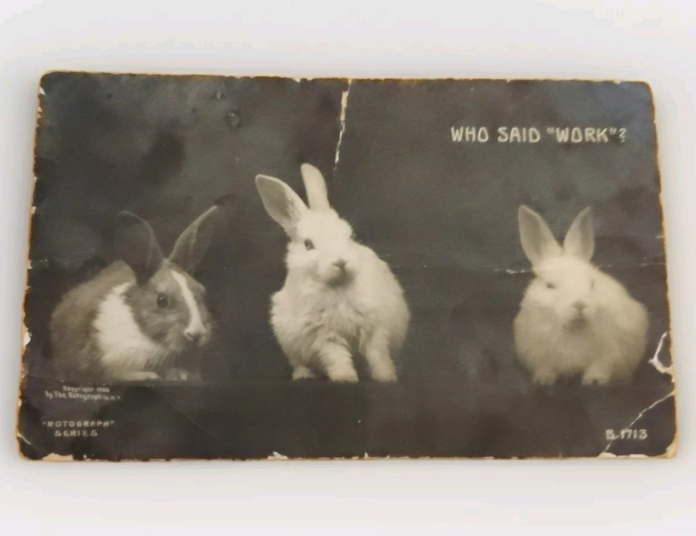 Postcard Easter Bunny VINTAGE 