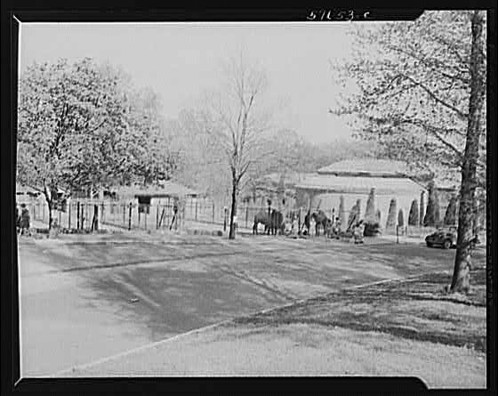 Photo:Washington DC 1940s White House Grounds Driveway Horses Car Parade