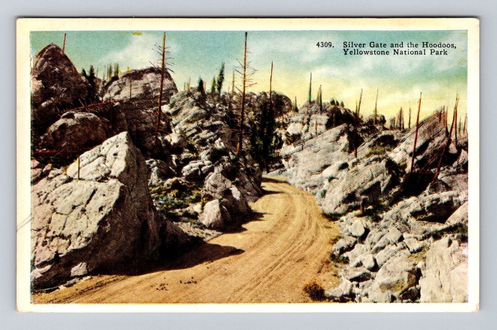 Yellowstone National Park, Silver Gate, Hoodoos, Series #4309 Vintage Postcard