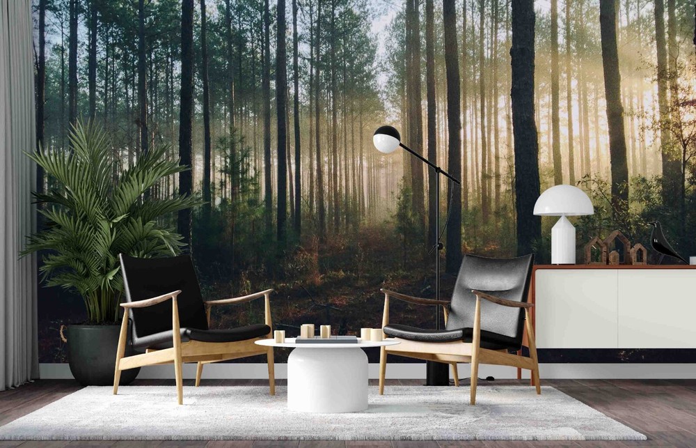 3D Sunlight Forest Nature Scenery Wall Murals Wallpaper Murals Wall Sticker