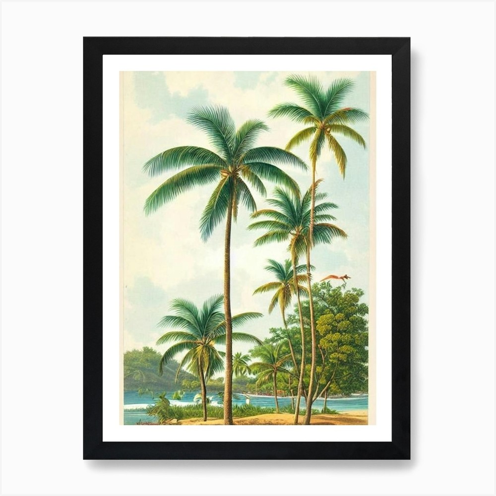 Crane Beach Barbados Vintage Art Pr Framed Wall Art Poster Canvas Print Picture