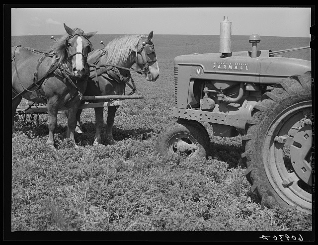 Photo:Jasper County Iowa 1940 Horse Team and Farmall Tractor Field Photo