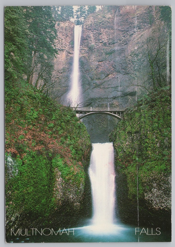 State View~Bridge By Multnomah Falls From Below~Continental Postcard