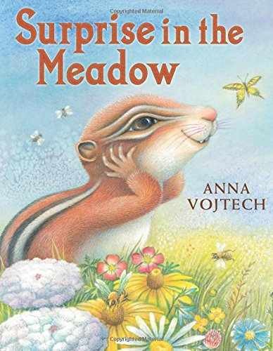 Surprise in the Meadow - Hardcover, by Vojtech Anna - Very Good