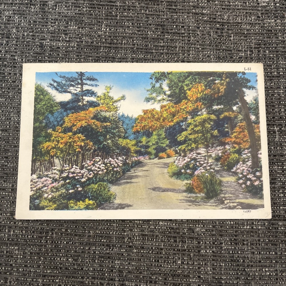 Linen Postcard Ontario, Canada~GREETINGS FROM ESSEX, Colorful Landscape Scene