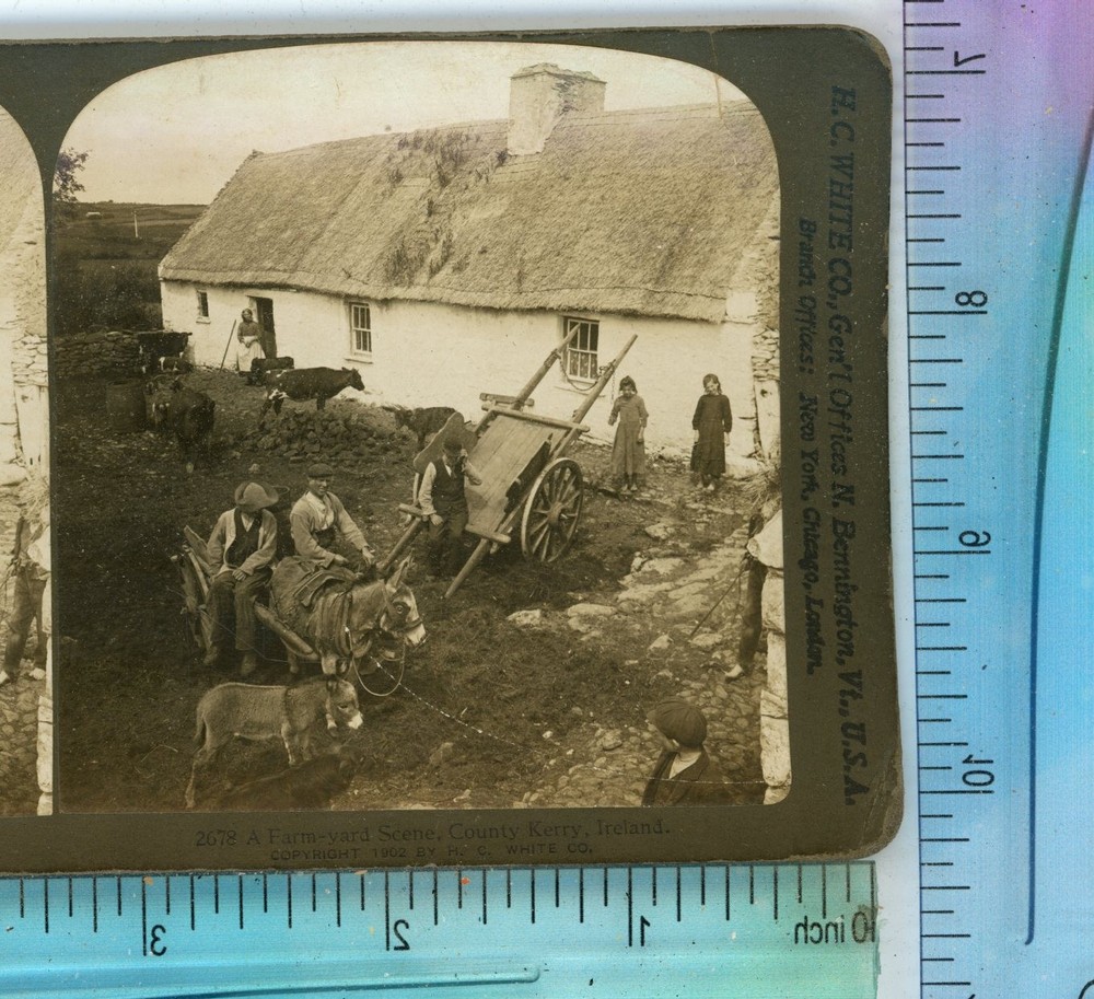 A Farmyard Scene County Kerry Ireland H.C. White Stereoview