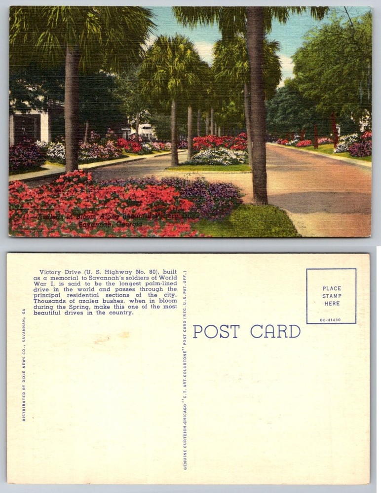 Victory Drive Savannah GA Azaleas Palm Trees C.T. Art-Colortone Postcard