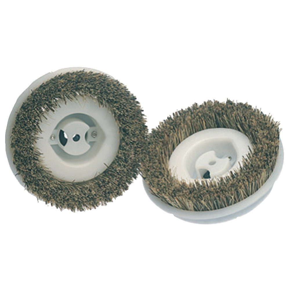Koblenz Floor Scrubbing Brushes, Compatible with 12-inch Floor Polisher, Scru...