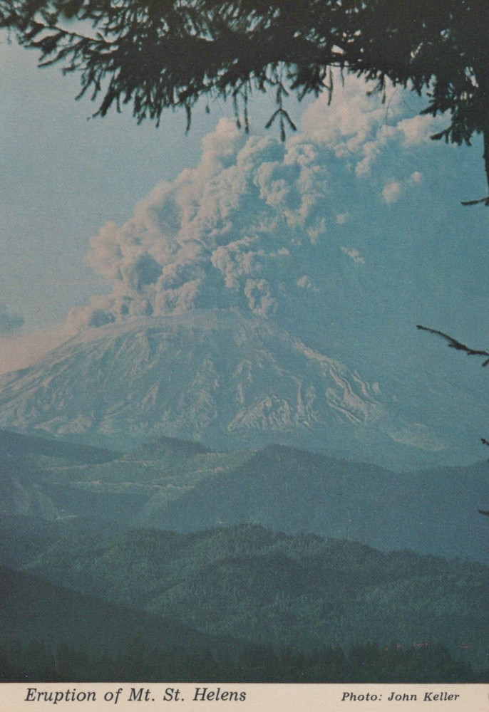 Mount St. Helens Eruption Volcano Washington May 18, 1980 Postcard