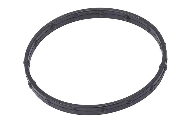 Genuine GM Throttle Body Gasket 55490568