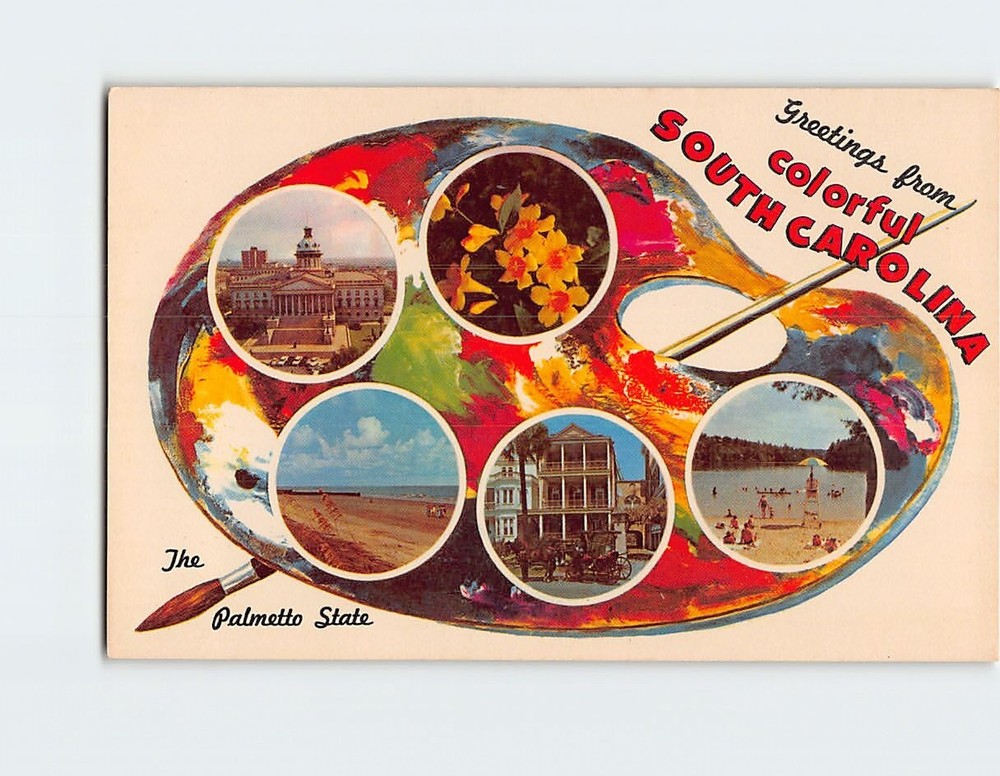 Postcard Greetings from Colorful South Carolina The Palmetto State SC USA