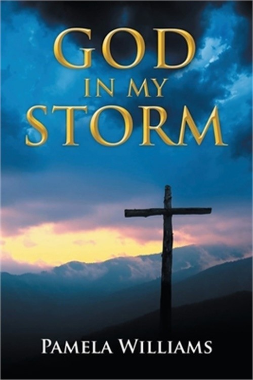 God In My Storm (Paperback or Softback)