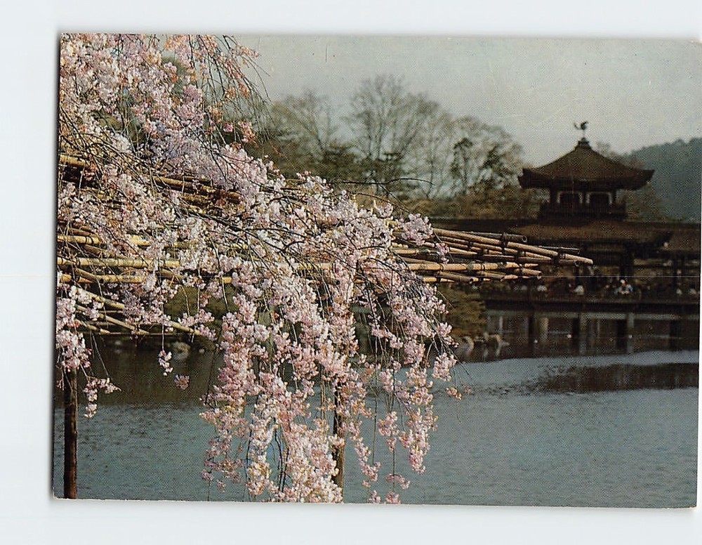 Postcard Heian Shrine Kyoto Japan