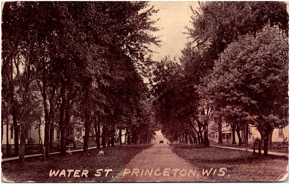 Water Street Scene in Princeton Wisconsin WI 1910 Antique Postcard