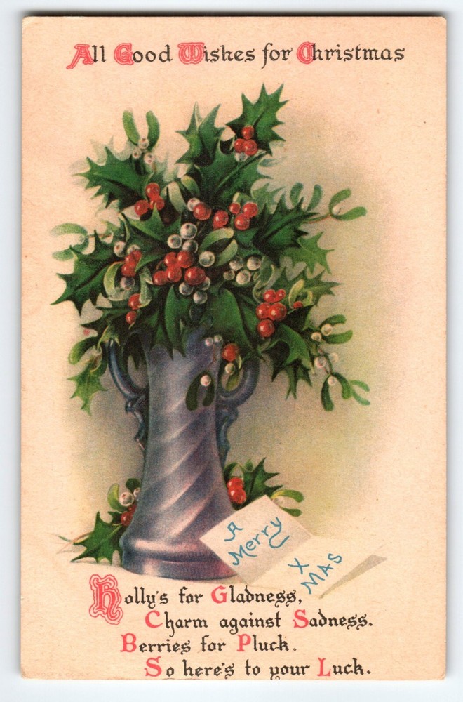 Christmas Postcard Holly Flowers Plant In Vase Wolf Series 26 Vintage Greetings