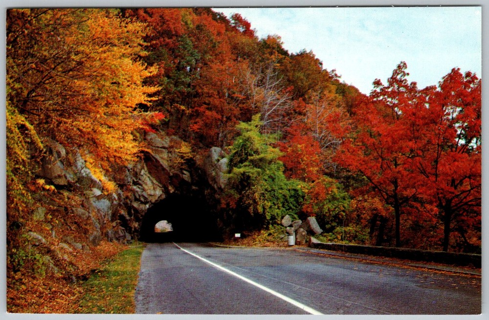 Vtg Postcard Mary's Rock Tunnel Shenandoah National Park, VA 1950s